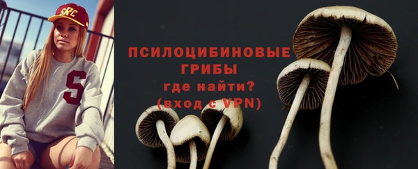 гидропоника Медвежьегорск