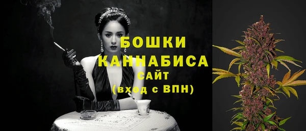 стафф Новозыбков