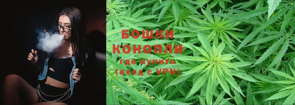 сатива Магас