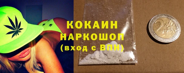 МДПВ Рославль