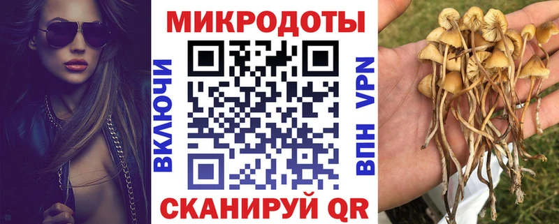 Галлюциногенные грибы прущие грибы  Шиханы 